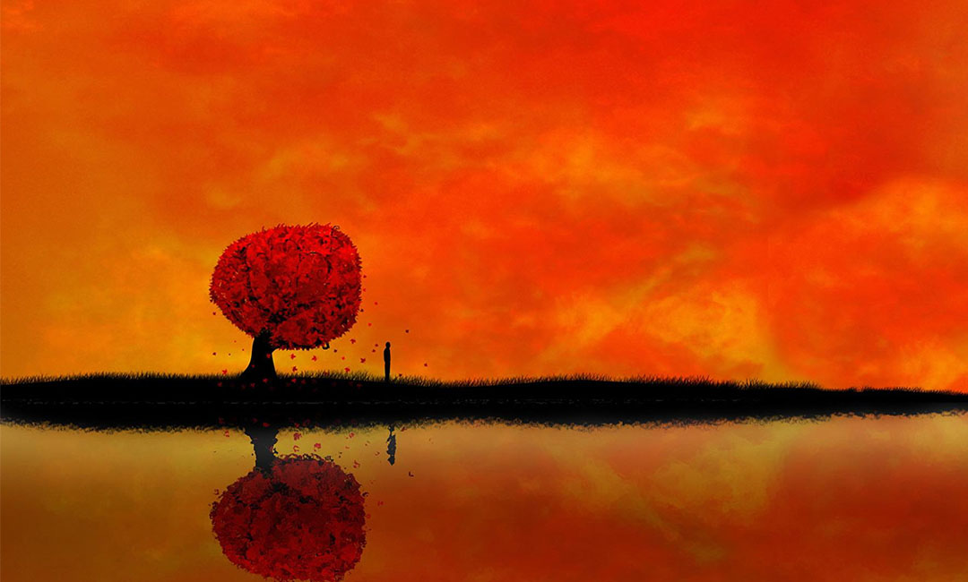 海南笙影微信朋友圈转发案例